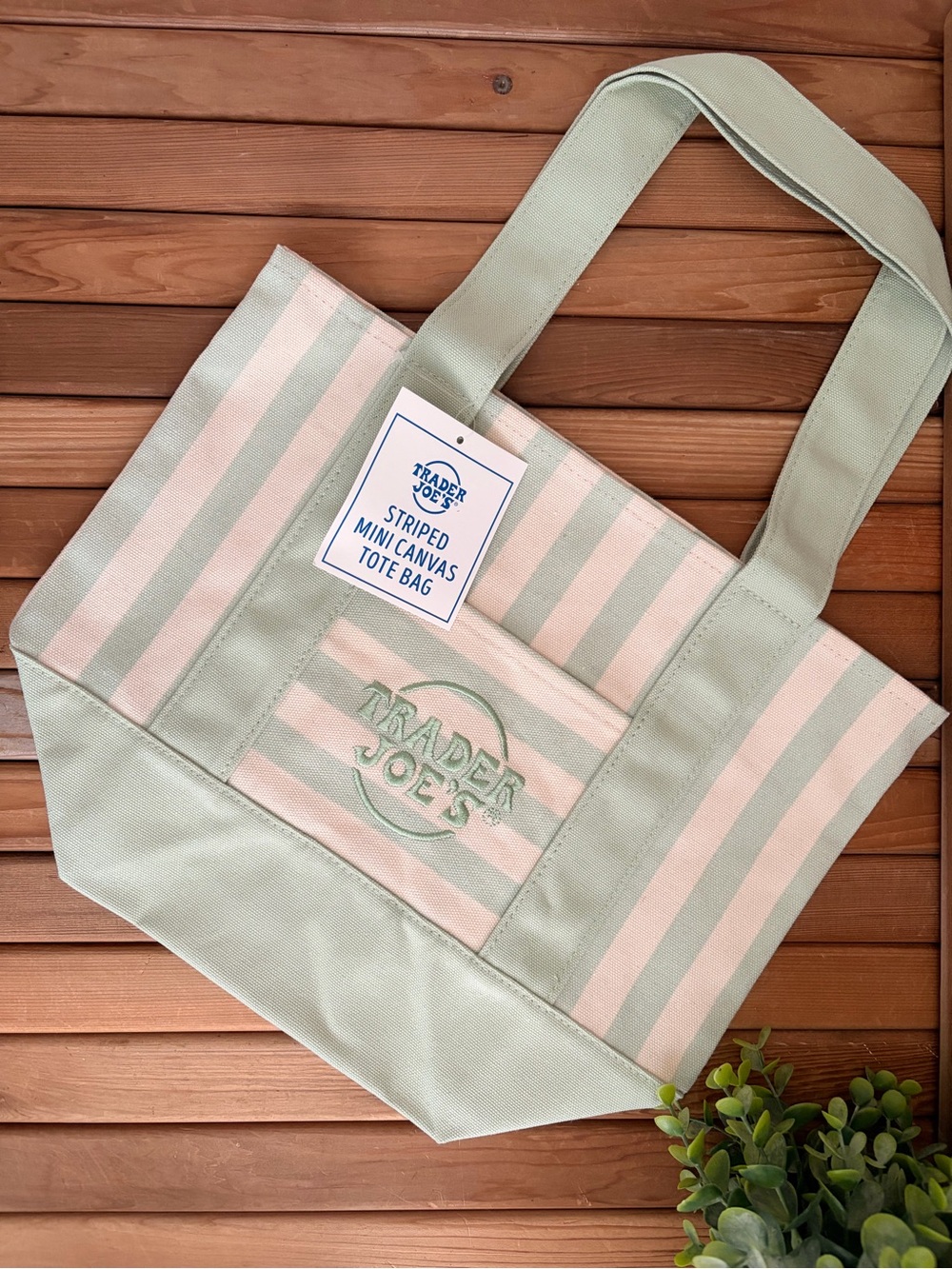 Trader Joe's Striped Canvas Tote, Limited Edition Spring Collection Mint Green